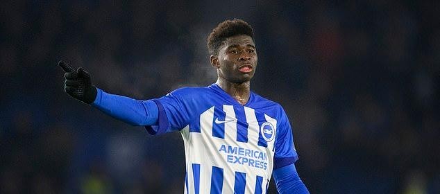 莱巴的机会, 巴莱巴与布