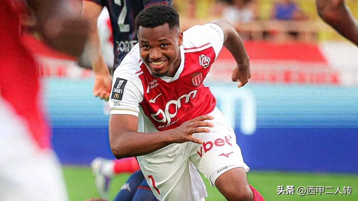 送入网窝 送入网窝